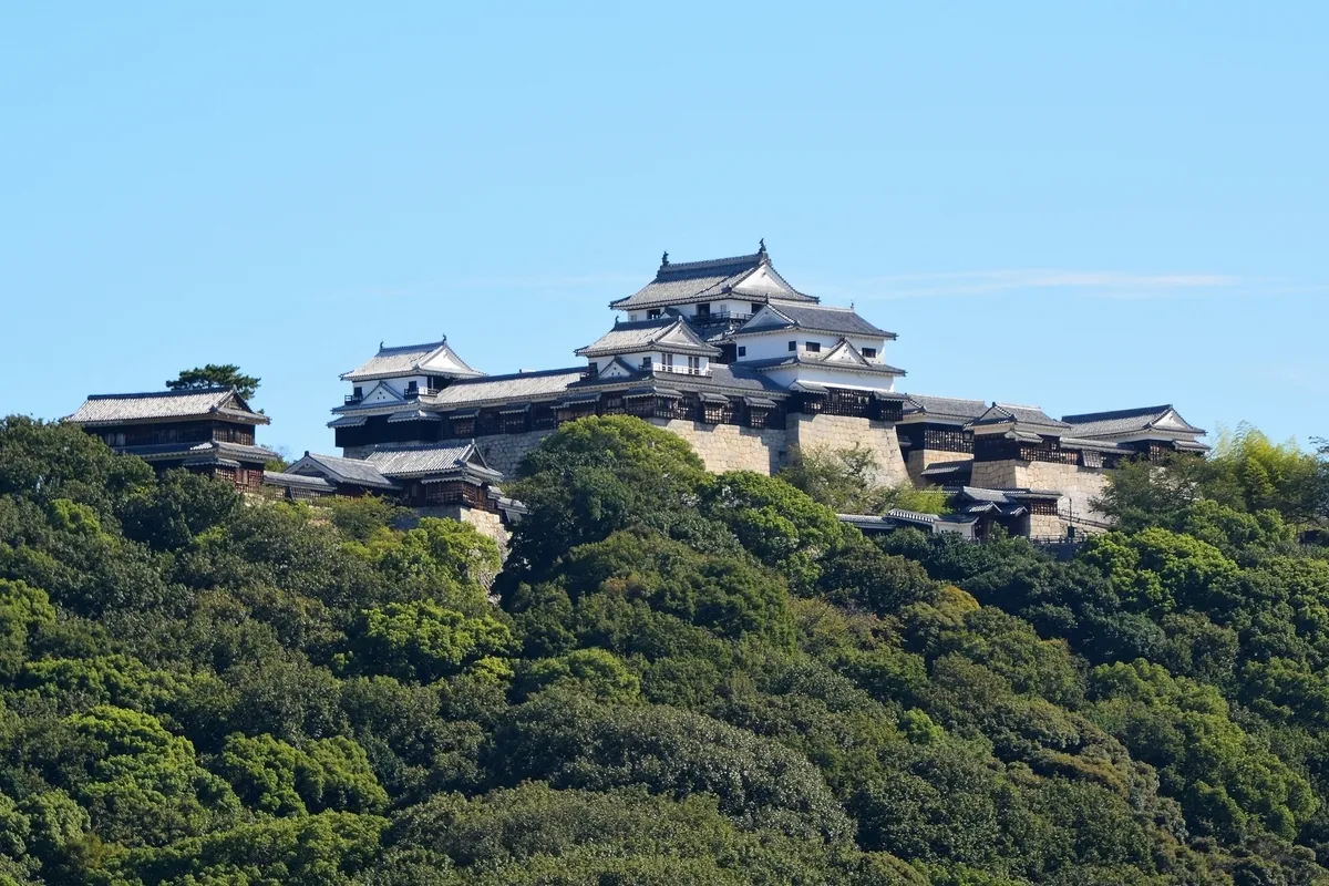 Matsuyama Castle