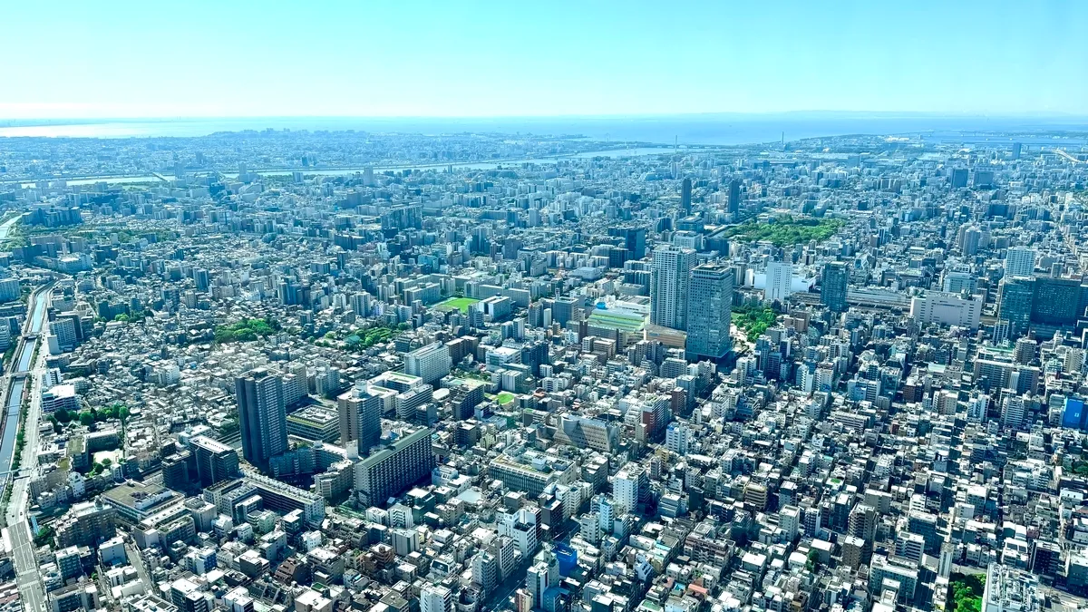 View from the observation deck