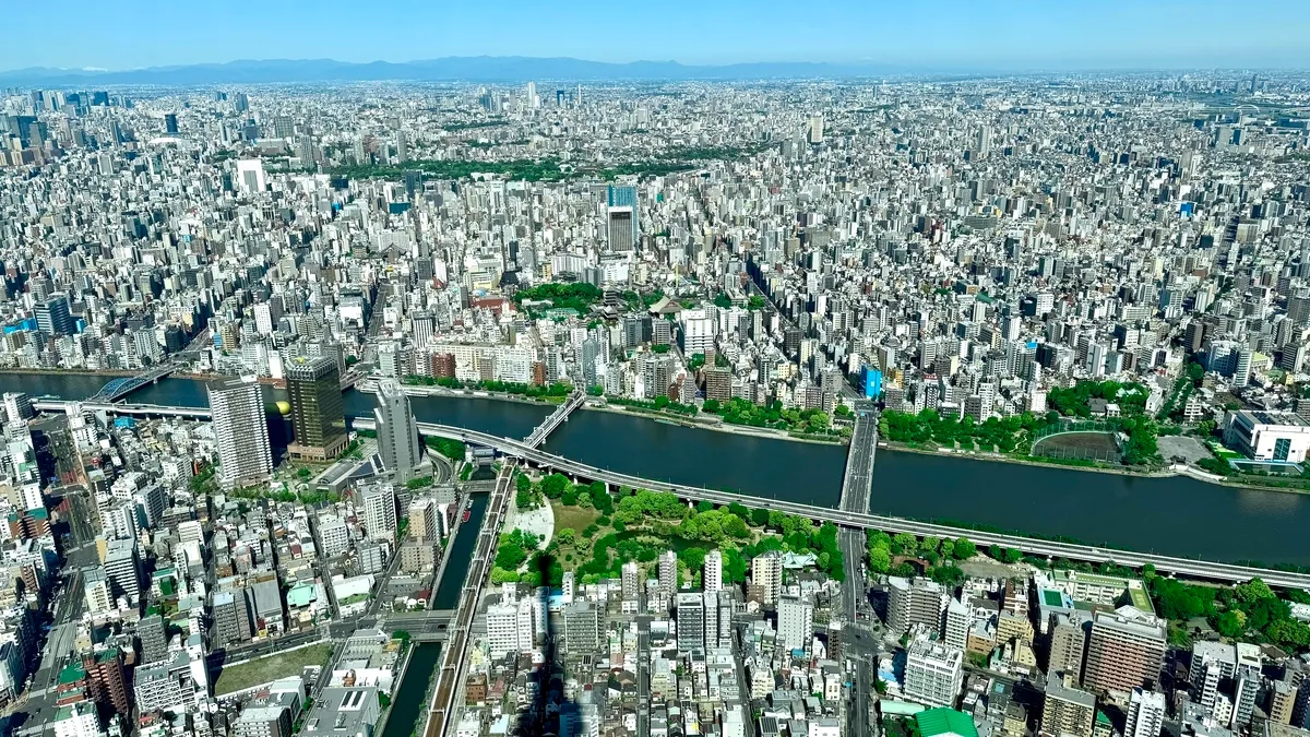 View from the observation deck