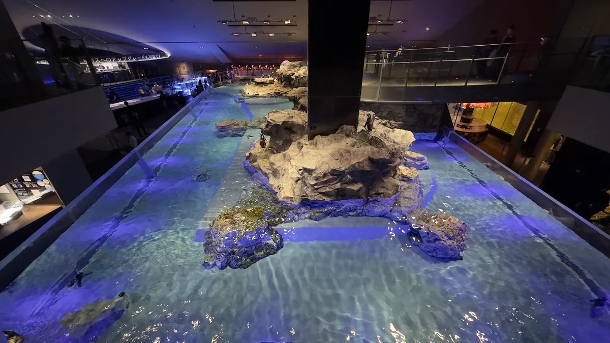 Penguin Pool
