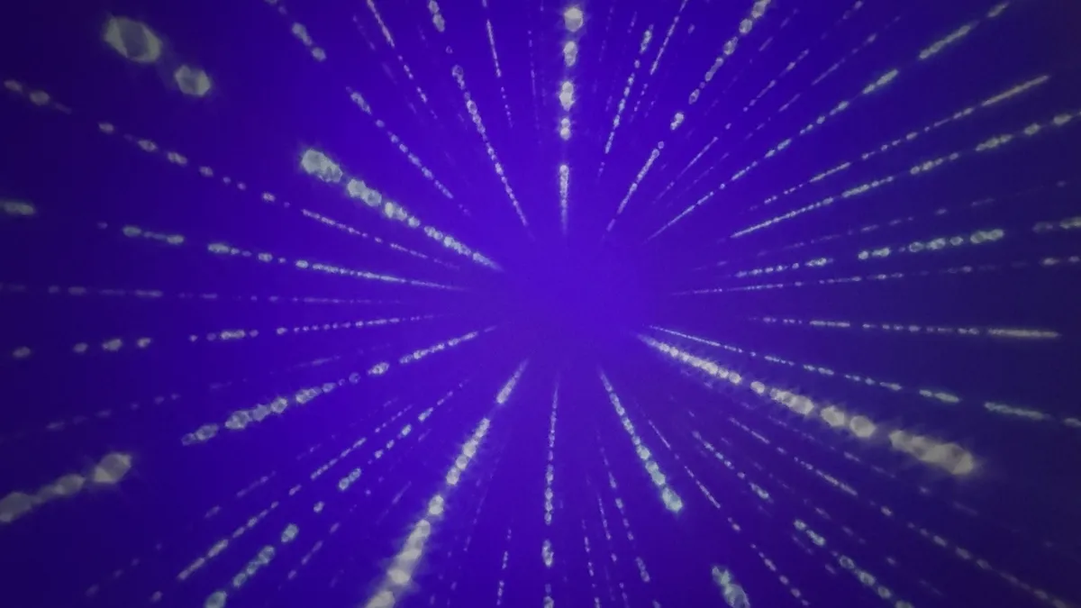 Projection Image