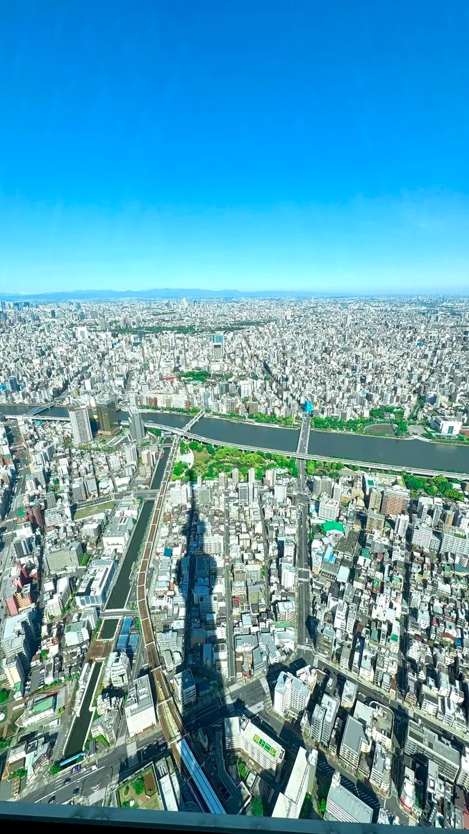 Skytree Shadow