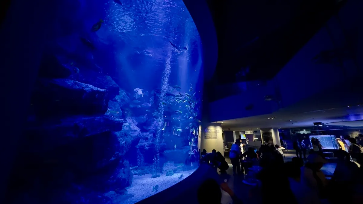 Ogasawara Large Tank
