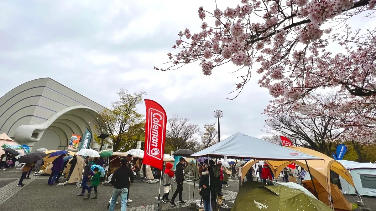 Spring rain and cherry blossoms