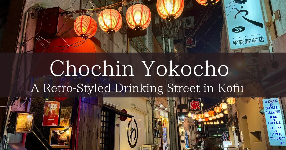 Chochin Yokocho, an entertainment district at night in front of Kofu Station