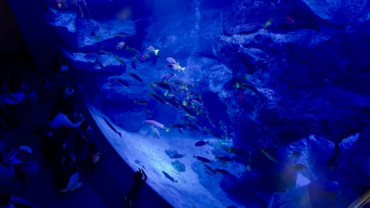 Ogasawara Large Tank