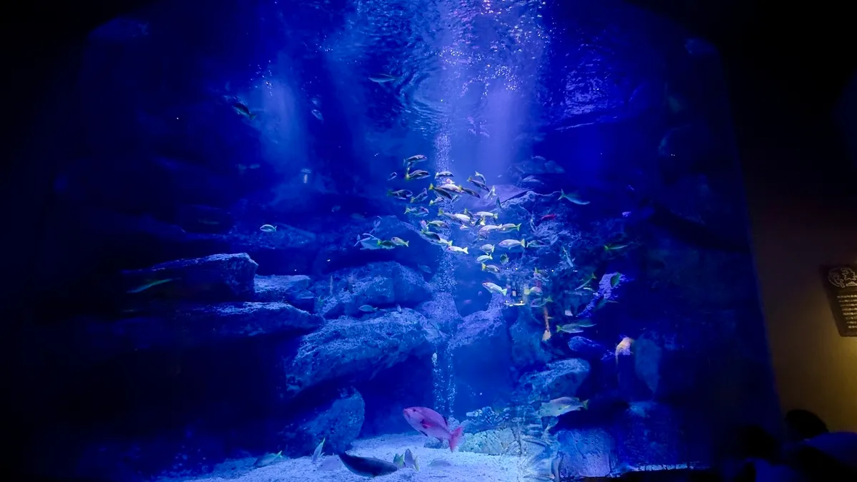 Ogasawara Large Tank