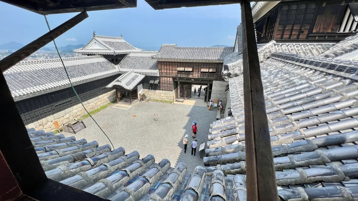 View of Multi-Tower Structure