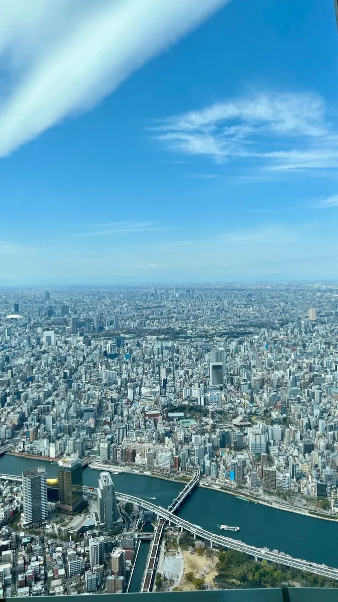 View from Galleria
