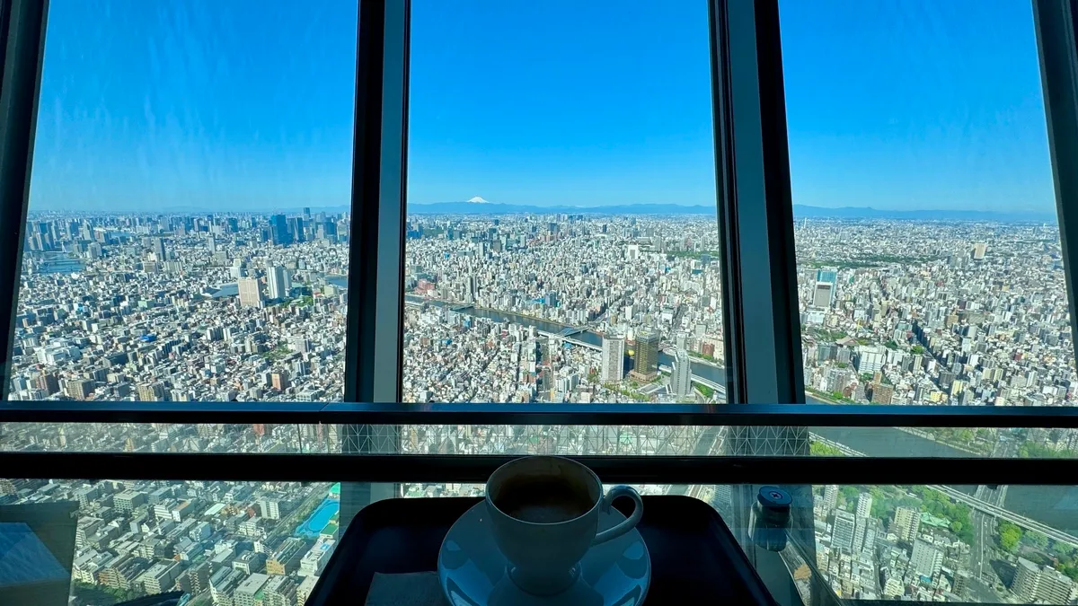 Panoramic view