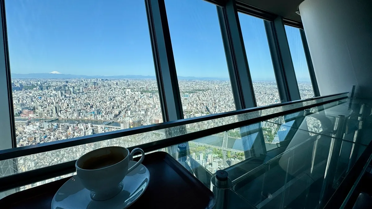 Panoramic view
