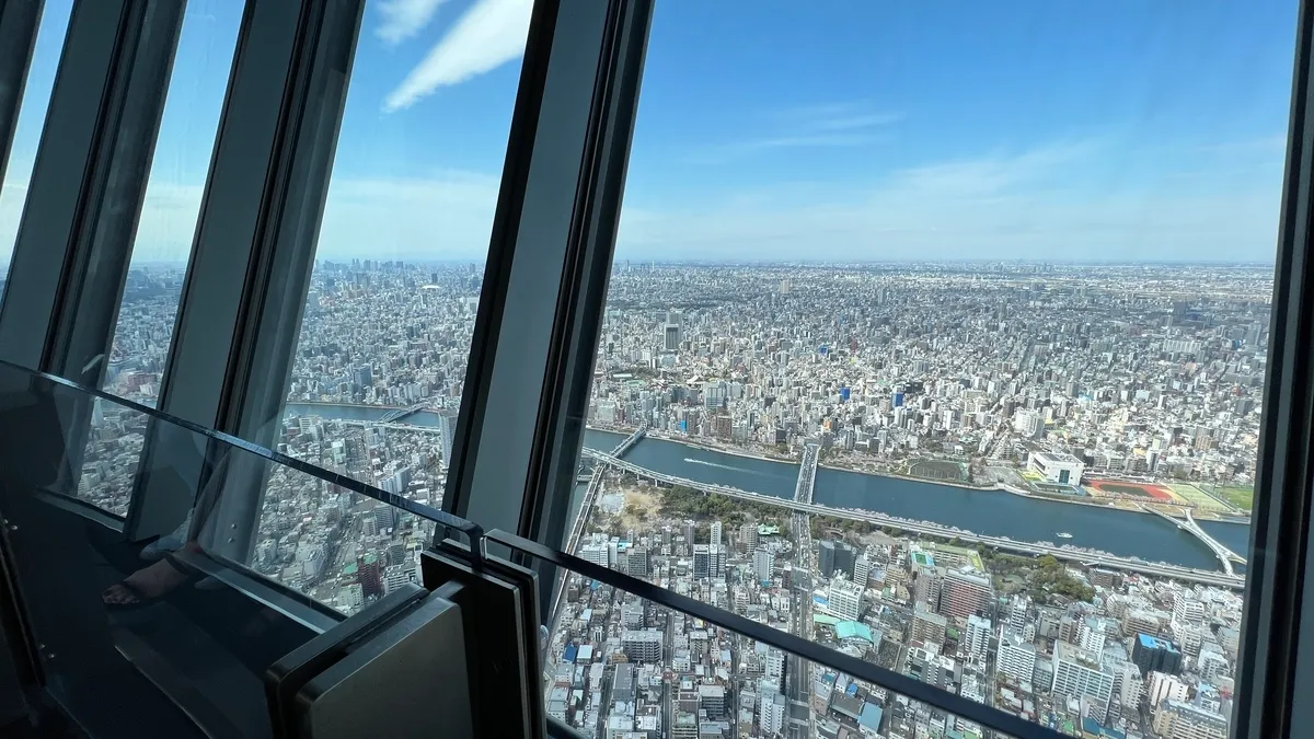 View from Observation Deck