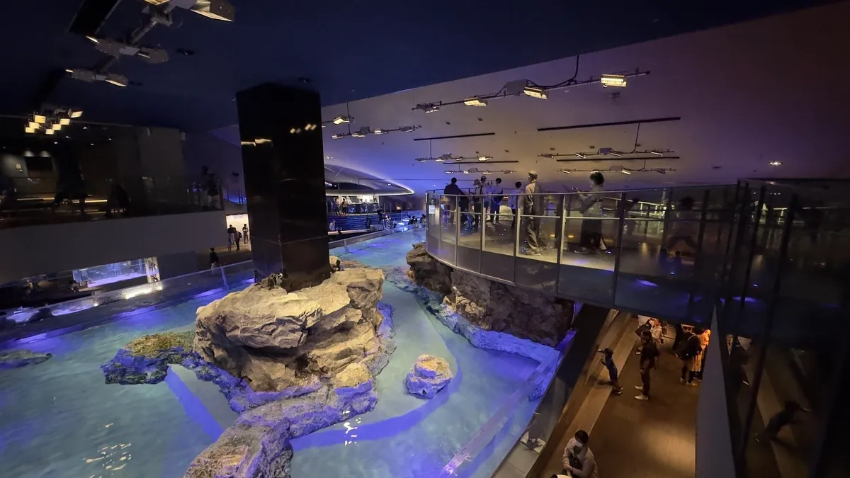 Aquarium Interior