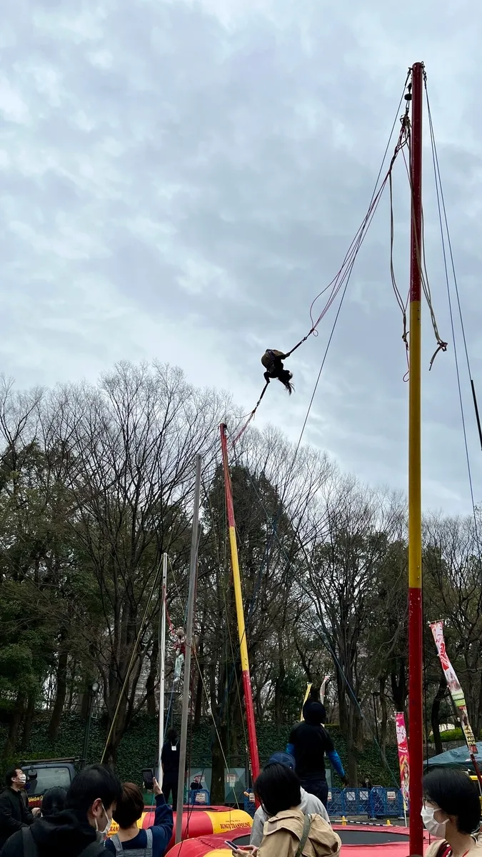 Bungee trampoline