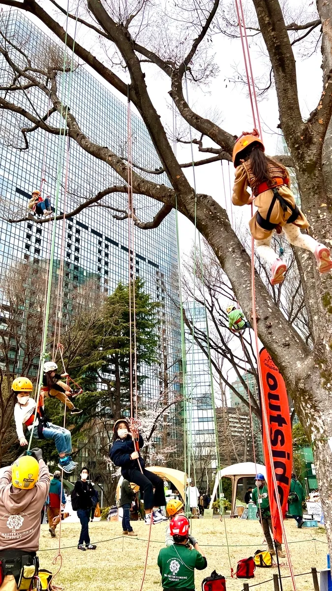 Tree climbing