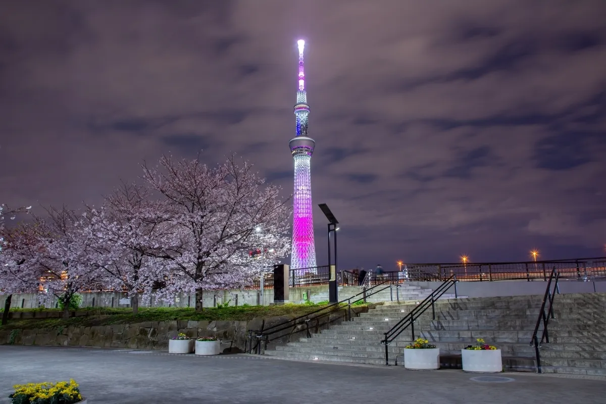 Skytree from Sumida Park