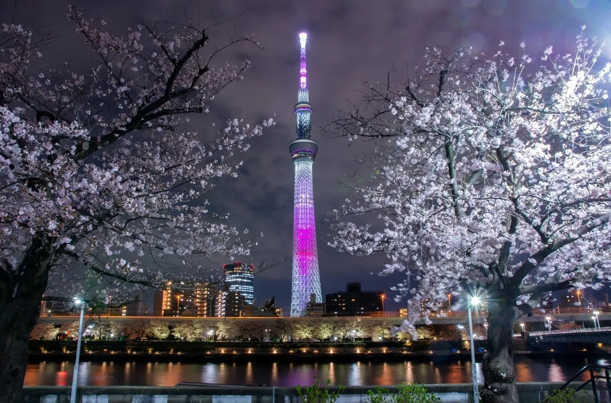 Skytree from Sumida Park