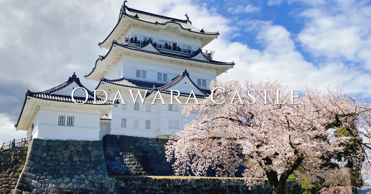 Odawara Castle: You can become a ninja. You can meet samurai.