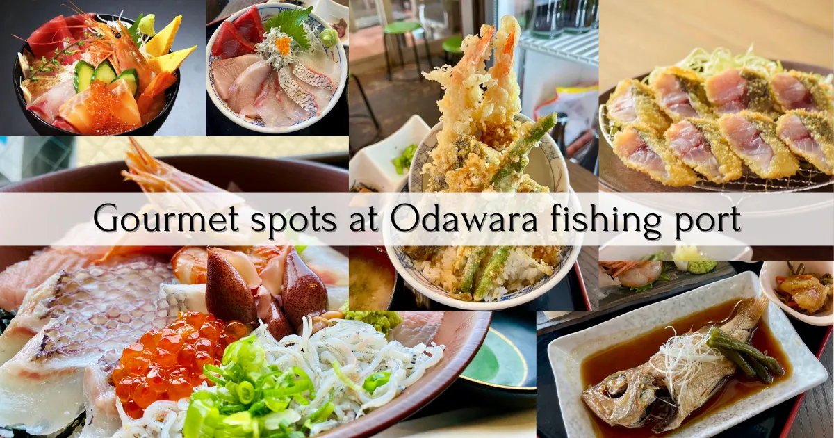 Odawara fishing port gourmet spot summary: 5 minutes walk! Enjoy seafood at the fishing port closest to the station in Japan!