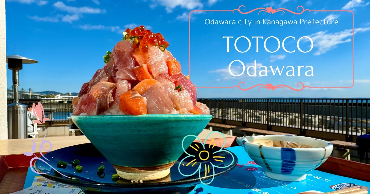 TOTOCO Odawara: A super popular spot to enjoy fresh seafood in Odawara