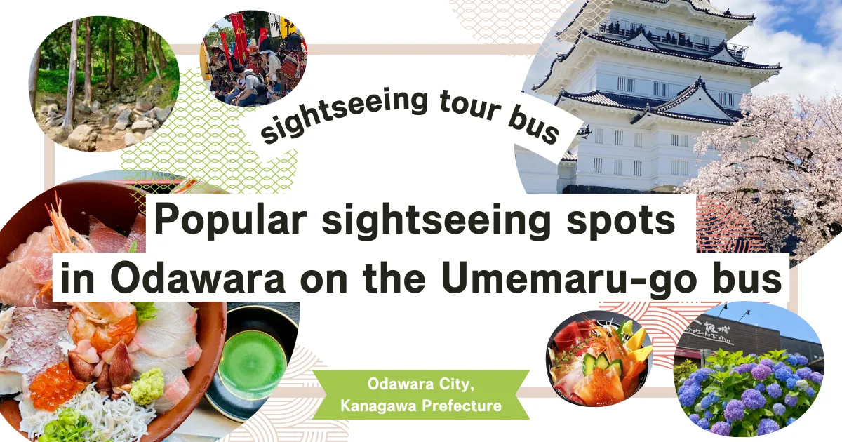Popular sightseeing spots in Odawara that can be accessed by sightseeing bus “Umemaru-go” departing from Odawara Station