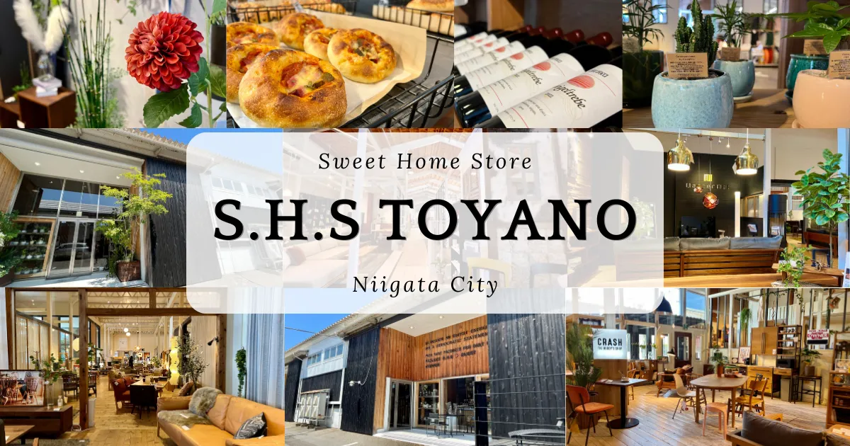 S.H.S Toyano: A popular furniture and interior shop in Niigata. The overall space design is wonderful.