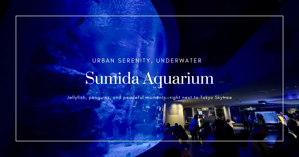 Sumida Aquarium Highlights Guide | A Mesmerizing World of Jellyfish and Penguins Right Next to Tokyo Skytree