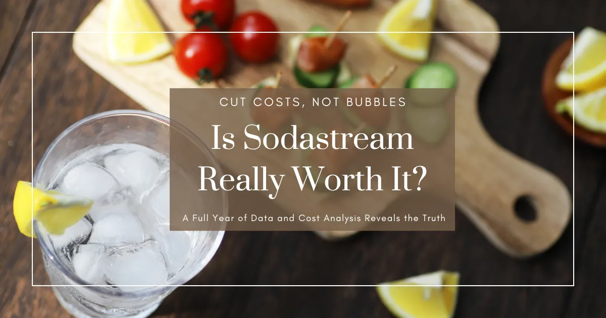Is Sodastream Really Worth It? A Full Year of Data and Cost Analysis Reveals the Truth